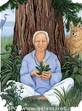 GaianTarot artwork by Joanna Colbert depicting elder sitting in front of cedar tree holding dandelion with herbs, coyote and heron surrounding.